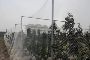 agricultural netting 03