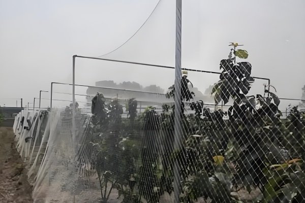 agricultural netting 03