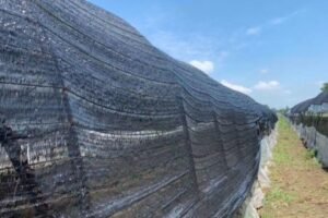 agricultural netting 05