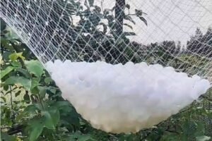 agricultural netting 06
