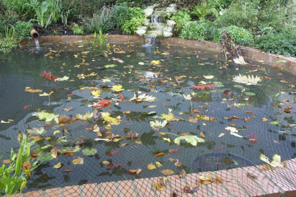Pond Cover Netting