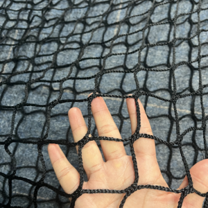 Pickleball Court Surround Netting Barrier Backstop Nets
