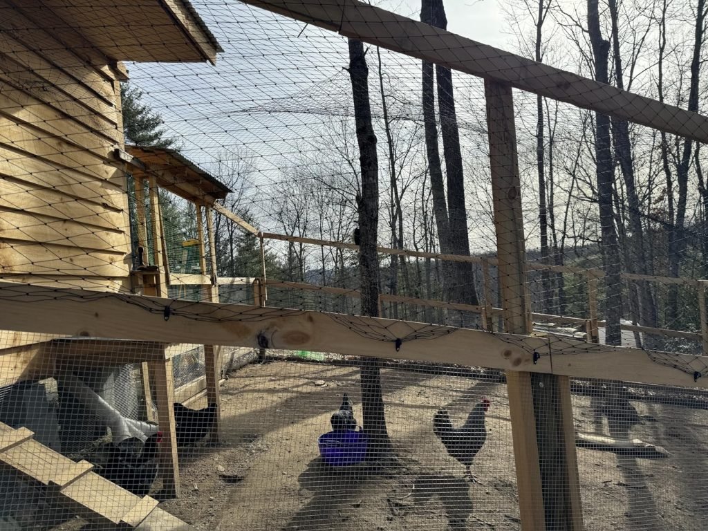 Aviary Netting 6