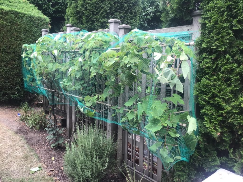 Bird Protection Netting