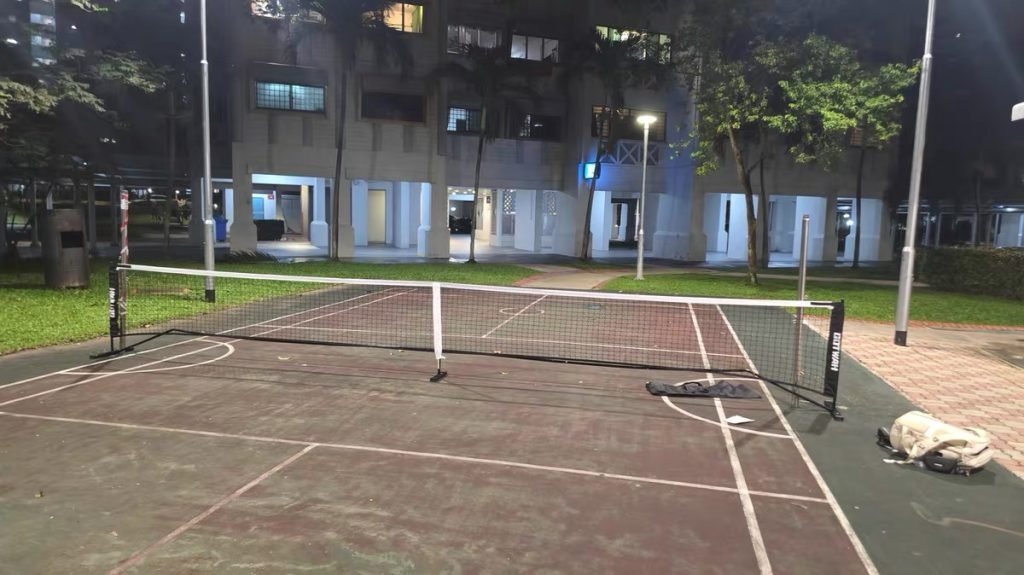 Pickleball Net 2