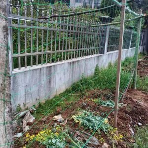 Heavy-Duty HDPE Climbing Plants Net for Greenhouse Vertical Growing
