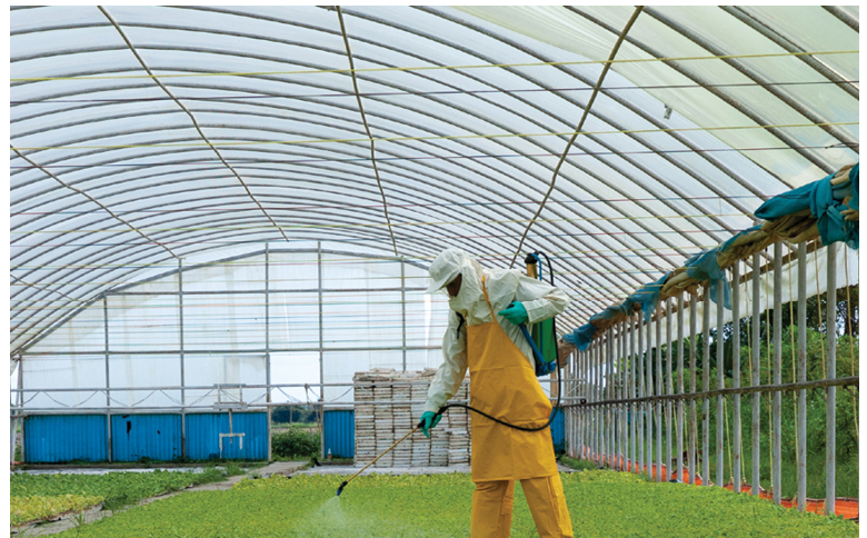 image 193
