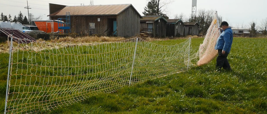 image 60