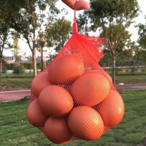Fruit and Vegetable Storage Mesh Net Bag Ideal for Onion Potato
