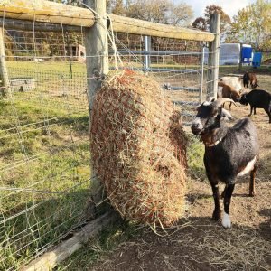 PP Horse Feed Bag Full Day Feeding Horses Hay Net