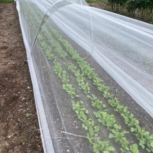120 Mesh Garden Netting Pest Barrier Insect Netting for Garden Protection