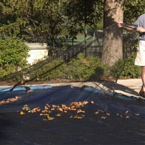 Lightweight & Durable  All-Weather Outdoor Leaf Protection Nets