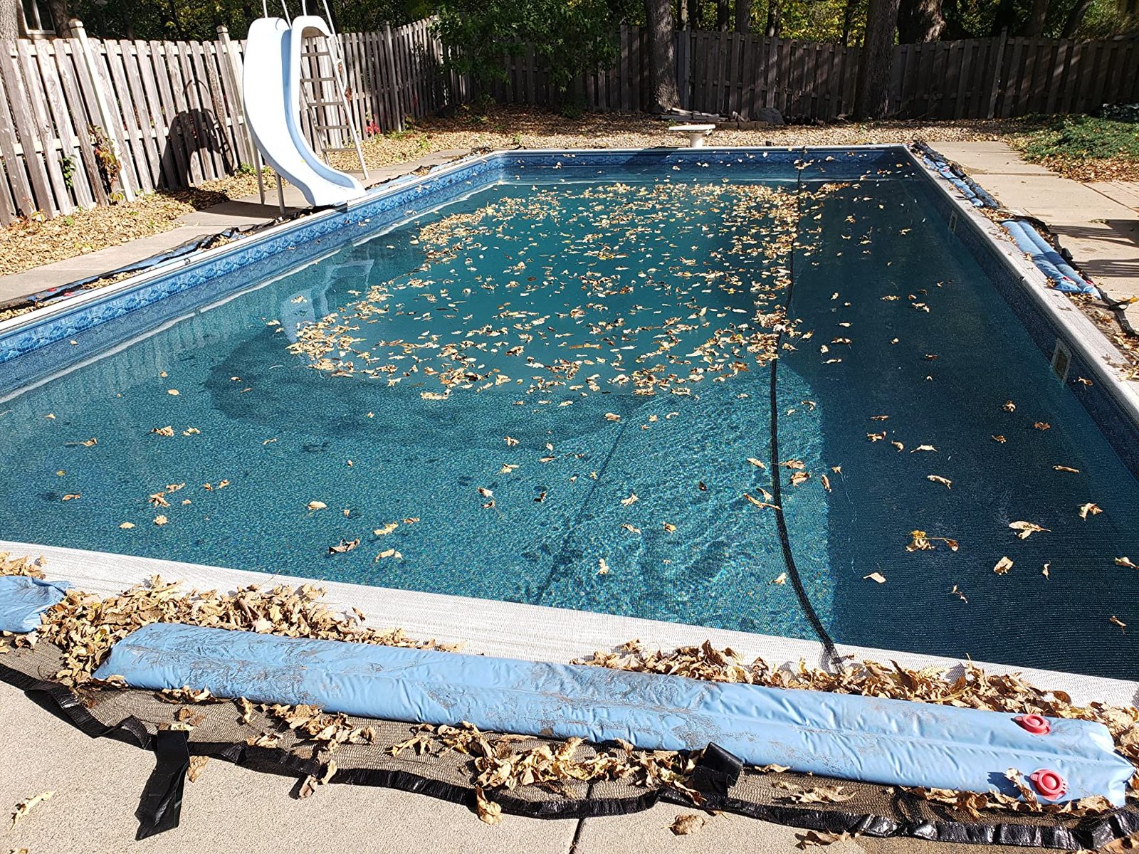 Leaf Protection Net 4