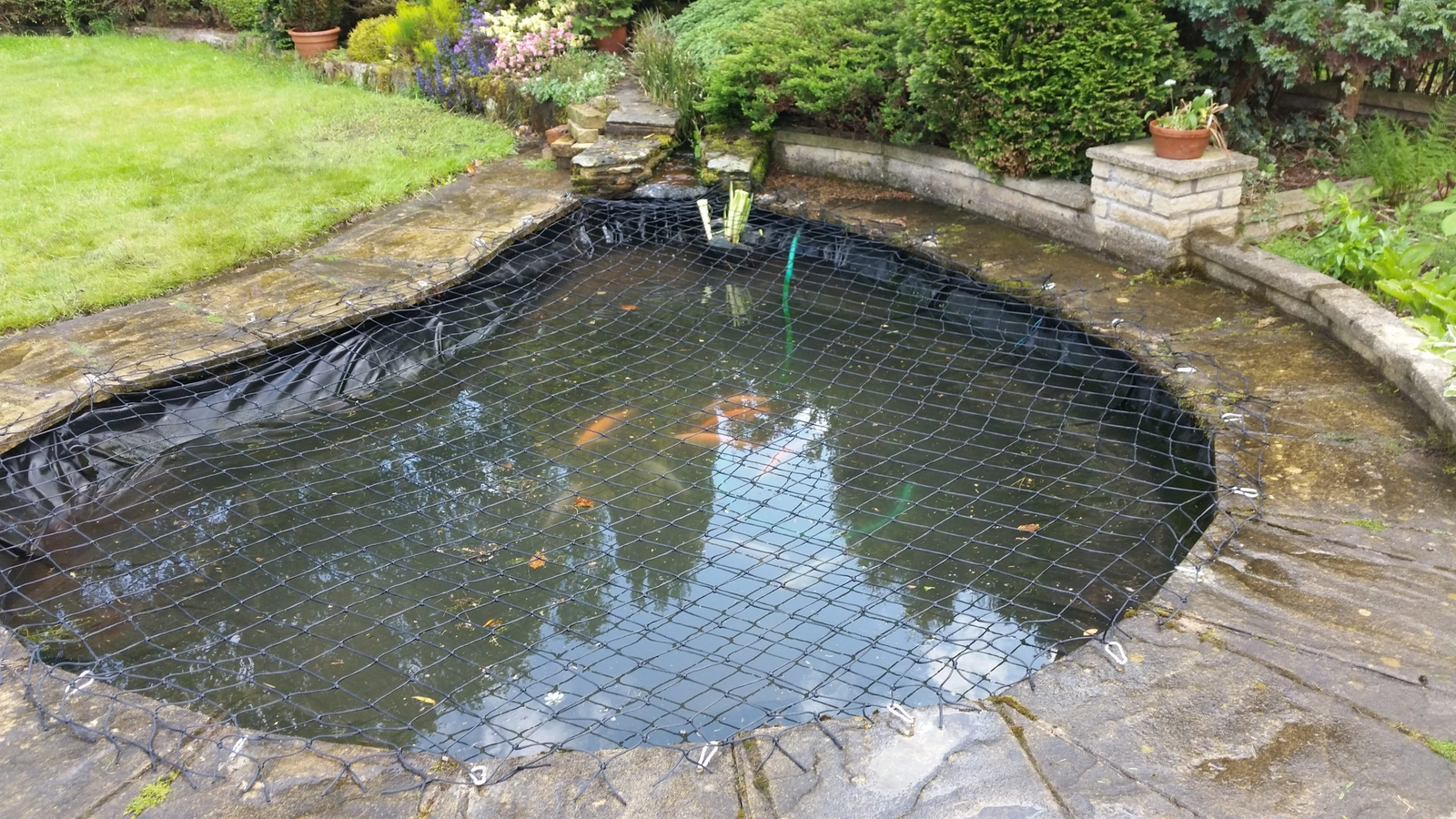 Pond Cover Net 5