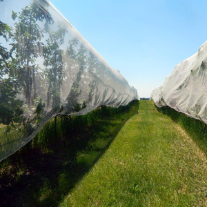 UV-Stabilized Hail Netting for Long-Term Agricultural Protection
