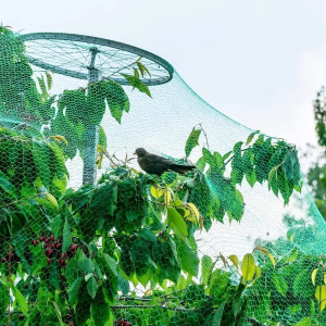 2CM Mesh Size 1.5mm Rope Anti Bird Heavy Duty Pigeon Net Plant Protect