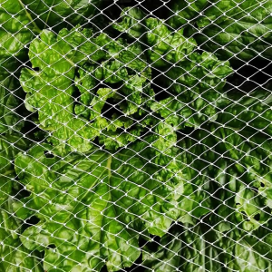 5CM Mesh Size 2mm Rope anti-crow net Garden Bird Netting, Animal Prevention Net Grid
