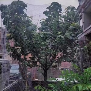 High-Strength PE Anti-Bird Net for Greenhouse, Orchard, and Vineyard Protection