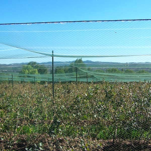 UV-Stabilized HDPE 50-Mesh Blueberry Protection Netting with Custom Sizes