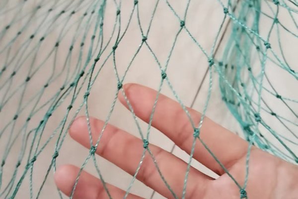 Bird Protection Netting 7