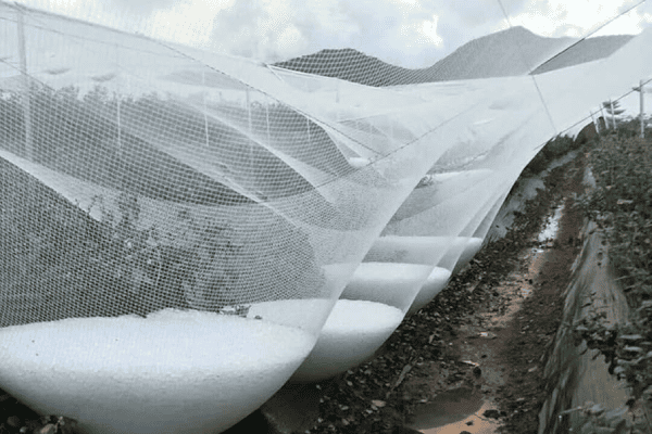 Hail Protection net 3