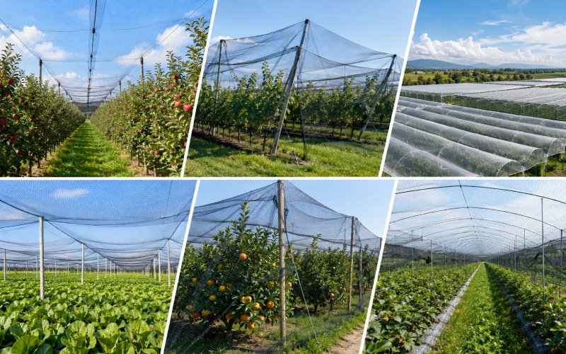 Anti Bird Netting Banner
