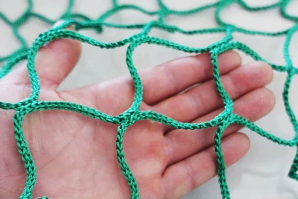 Cargo Covering Net