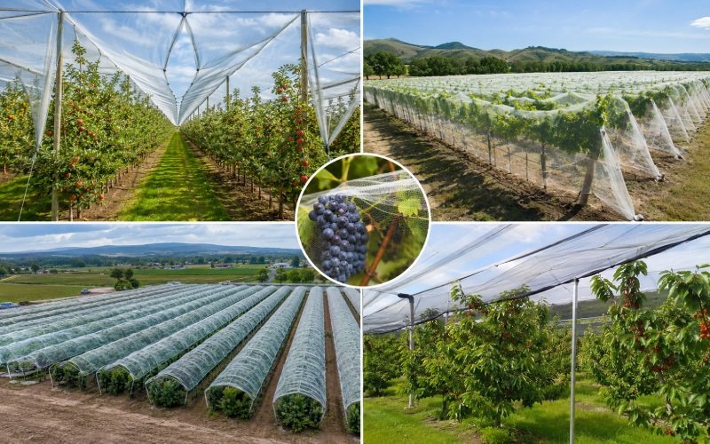 Orchard Vineyard Netting Banner