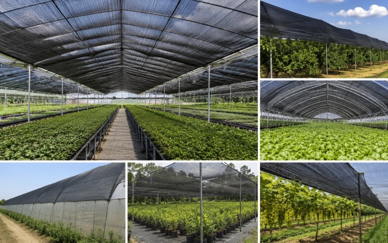 Shade Netting Banner
